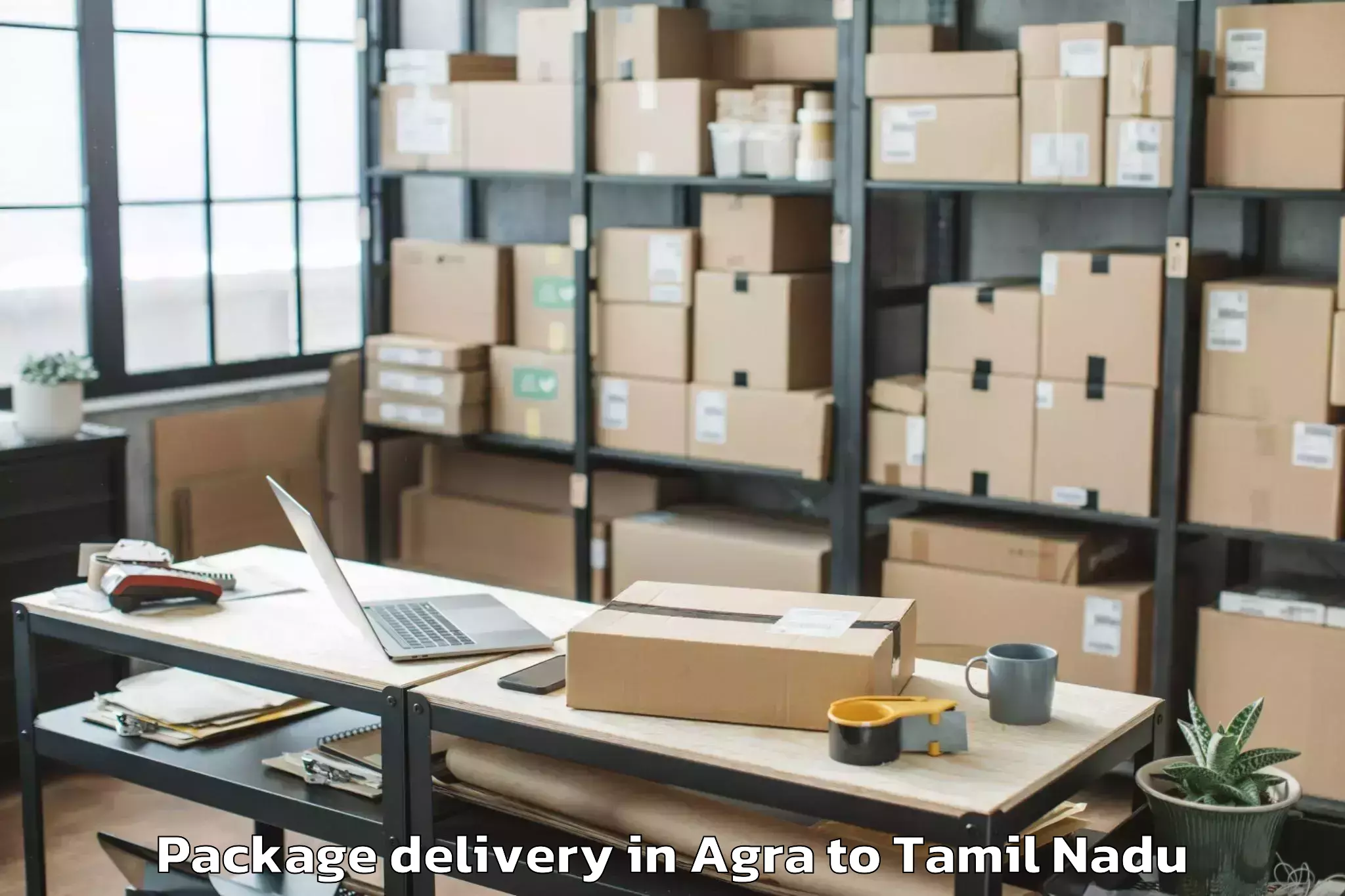 Trusted Agra to Manamelkudi Package Delivery